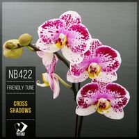 Friendly Tune - Cross Shadows