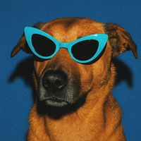 Noah Ferrari - HaHaHa