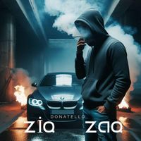 Donatello - ZiqZaq