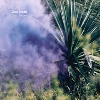 Zoo Brazil - Yes I Know