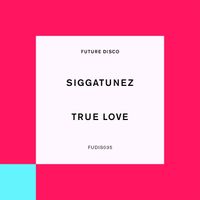 Siggatunez - True Love (feat. Vany T Fair) (Extended Mixes)