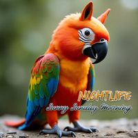 NIGHTLIFE - Sunny Sunday Morning