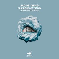 Jacob Ireng - First Lights of the Day (Homo Novo Remixes)