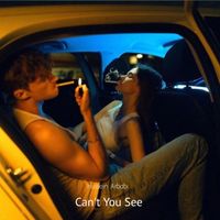Hussein Arbabi - Can't You see