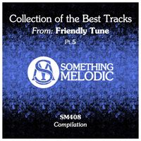 Friendly Tune - Collection of the Best Tracks From: Friendly Tune, Pt. 5