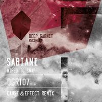 Sabiani - Wired To Snap