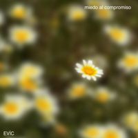 EVÍC - miedo al compromiso