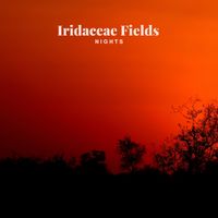 Iridaceae Fields - Nights