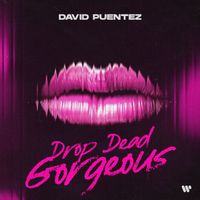 David Puentez - Drop Dead Gorgeous (Extended)