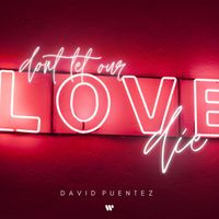 David Puentez - Don‘t Let Our Love Die