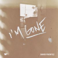 David Puentez - I'm Gone
