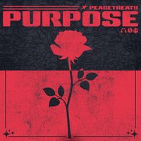 PeaceTreaty - Purpose