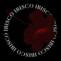 Talk To Her - Ibisco