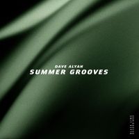 Dave Alyan - Summer Grooves