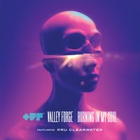 Valley Forge - Burning In My Soul