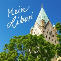 MODU - Mein Libori