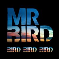 Mr Bird - Bird Bird Bird