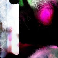 VERMIN - Mid Ambient
