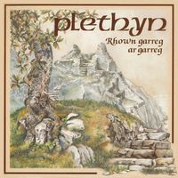 Plethyn - Rhown Garreg ar Garreg