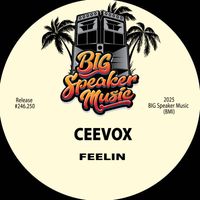 Ceevox - Feelin