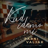Parni Valjak - Kud idemo mi