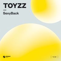 TOYZZ - SexyBack