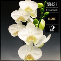 Dj SantiyaGO - Escape