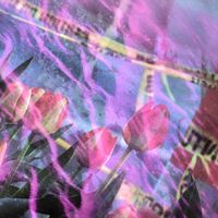 Bodyluggage - Petal Skin