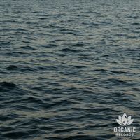Ocean Minds - Relaxing Sea Soundscapes
