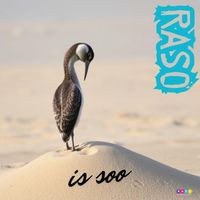 RASO - is soo