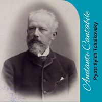 Pyotr Ilyich Tchaikovsky - Andante Cantabile