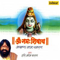 Hari Om Sharan - Om Namah Shivay