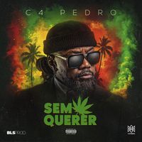 C4 Pedro - SEM QUERER