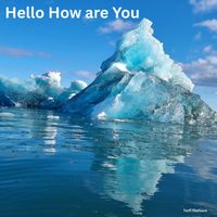 Torfi Olafsson - Hello How are You