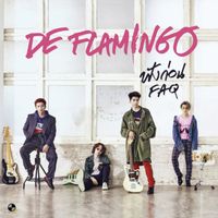 De Flamingo - ฟังก่อน (FAQ)