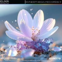Elixr - Without You