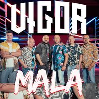 Vigor - Mala