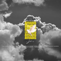 Jeffrey - Avivados