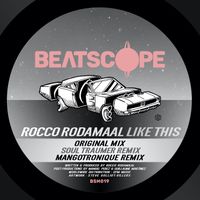 Rocco Rodamaal - Like This