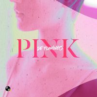 De Flamingo - ปิ๊ง