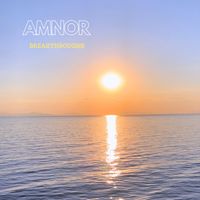 AMNOR - Breakthroughs