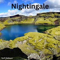Torfi Olafsson - Nightingale