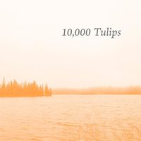Robert Anton Strobel - 10,000 Tulips