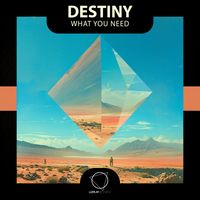 Destiny - What You Need