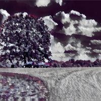 Zavier - Indecision