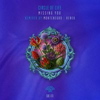 Circle of Life - Missing You