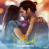 Sezen Aksu - Ben Öyle Birini Sevdim ki (Delibal Original Soundtrack)