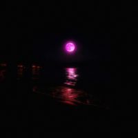 Nate mx - La Playa / Anochecer