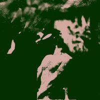 Jack Nelson - disarray