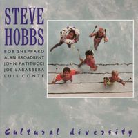 Steve Hobbs - Cultural Diversity